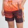 State Volley Swim Shorts